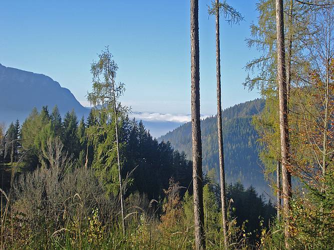 13 Auch ueber dem Murtal ist noch Nebel